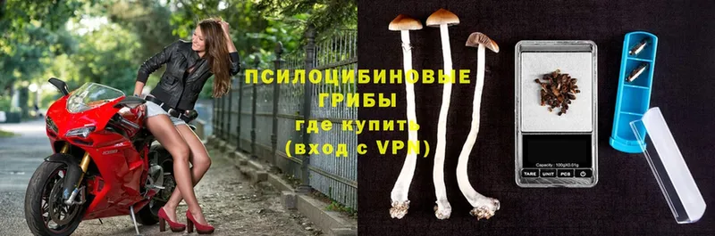 магазин продажи   ОМГ ОМГ tor  Галлюциногенные грибы Cubensis  нарко площадка какой сайт  Сельцо 